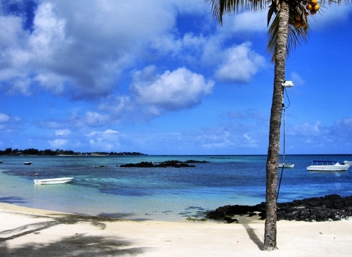 Mauritius #1